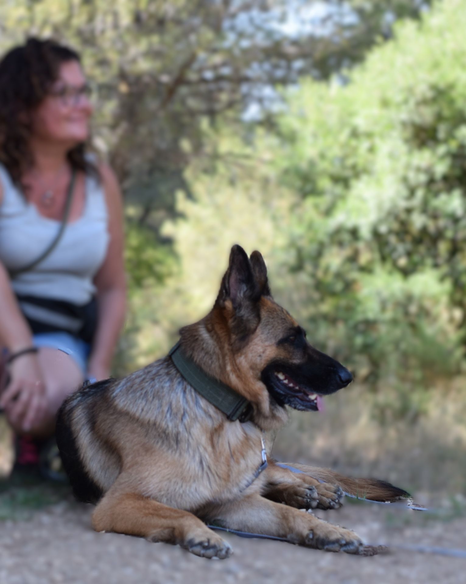 Dressage et éducation canine à Gardanne – Edukynos