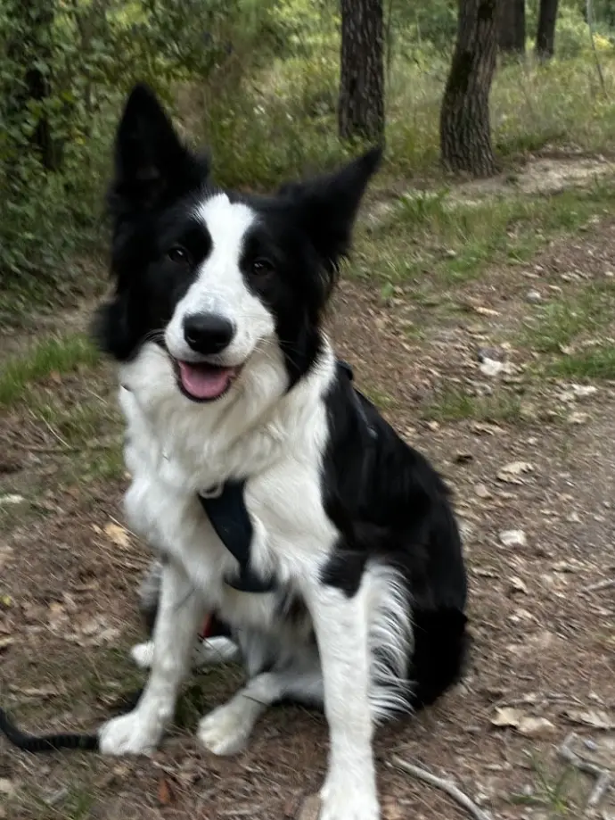 travail éducatif en milieu urbain